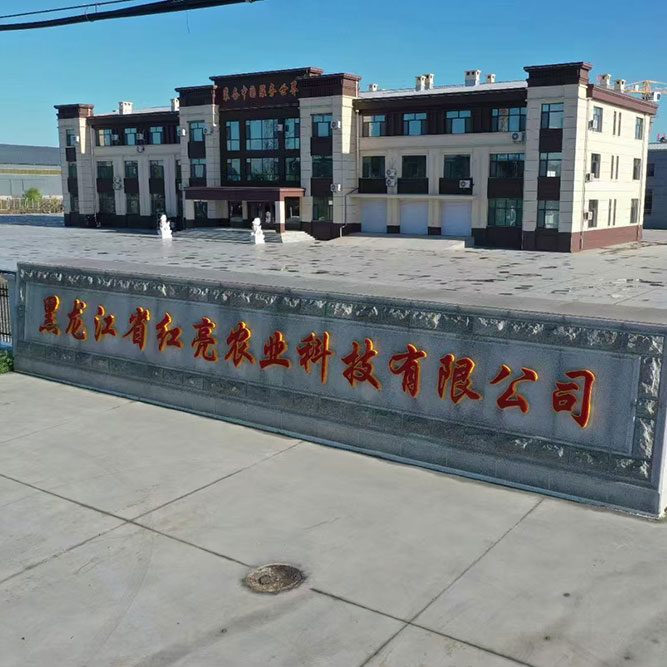 公司环境